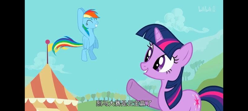 小马宝莉,小马宝莉友谊魔法,彩虹小马,我的小马驹,动画,动漫,番剧,ACG