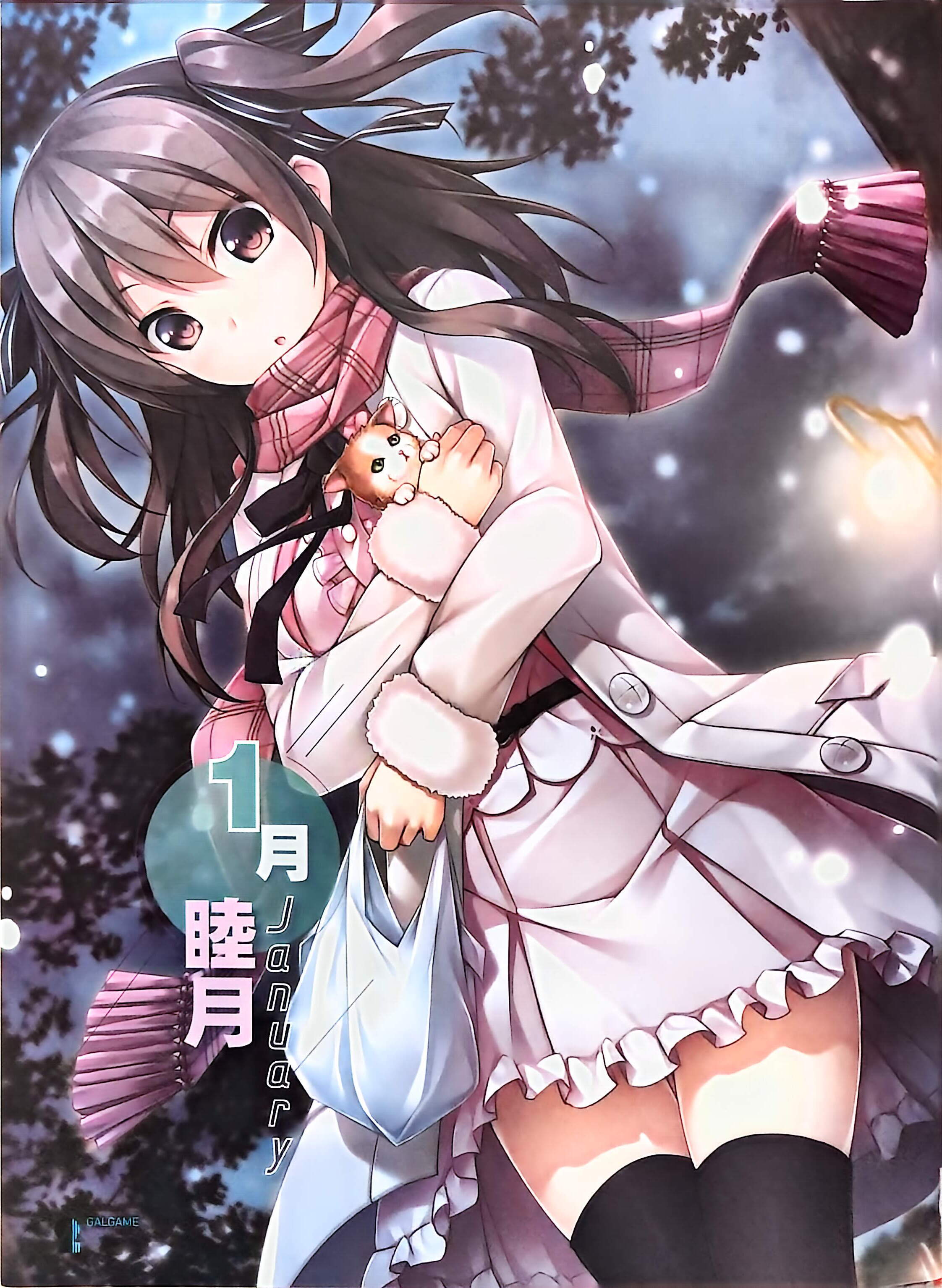 二次元狂热,GALgame,恋爱游戏