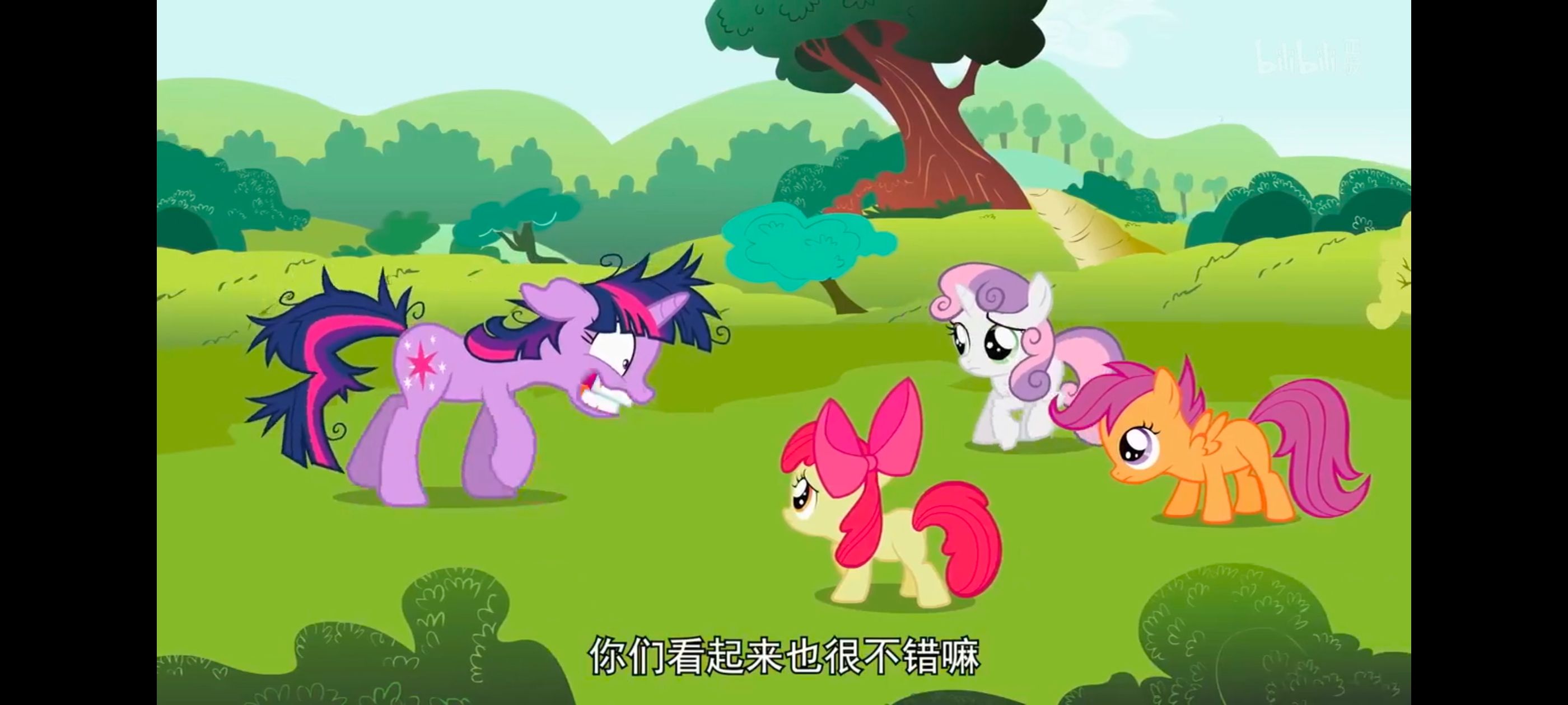 小马宝莉,小马宝莉友谊魔法,彩虹小马,我的小马驹,动画,动漫,番剧,ACG