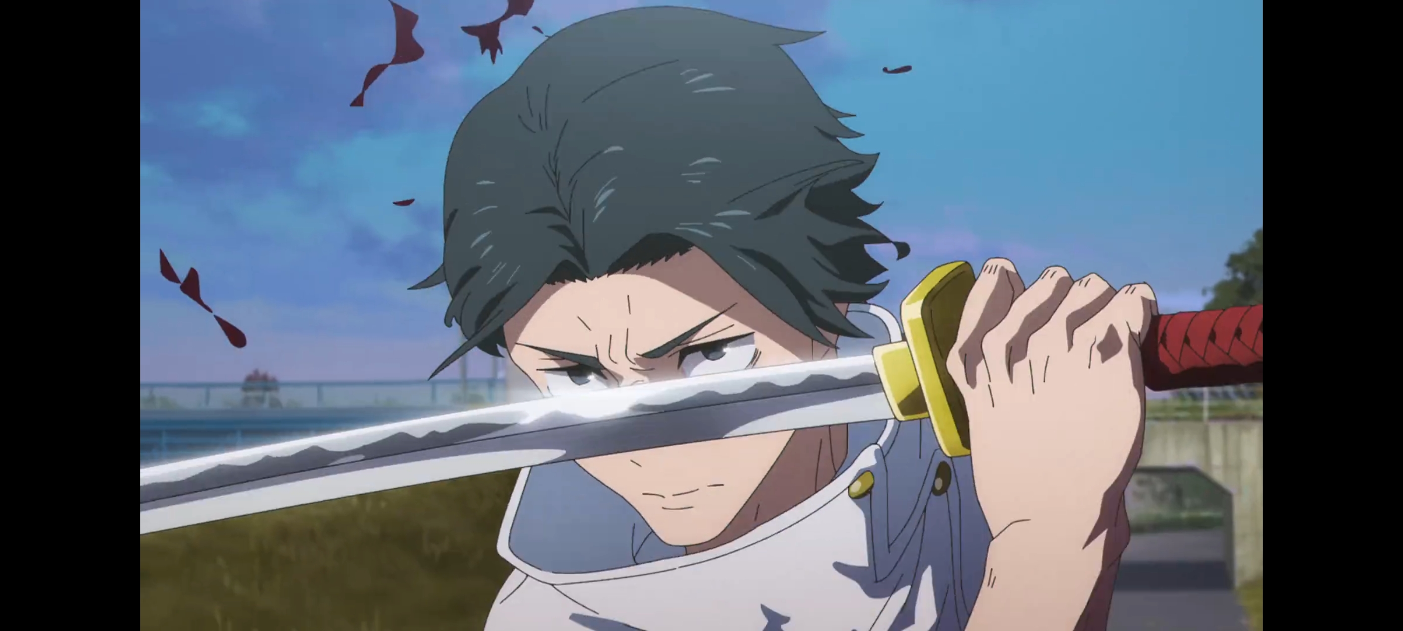 咒术回战,咒术回战死灭回游,动画,动漫,番剧,二次元,ACG