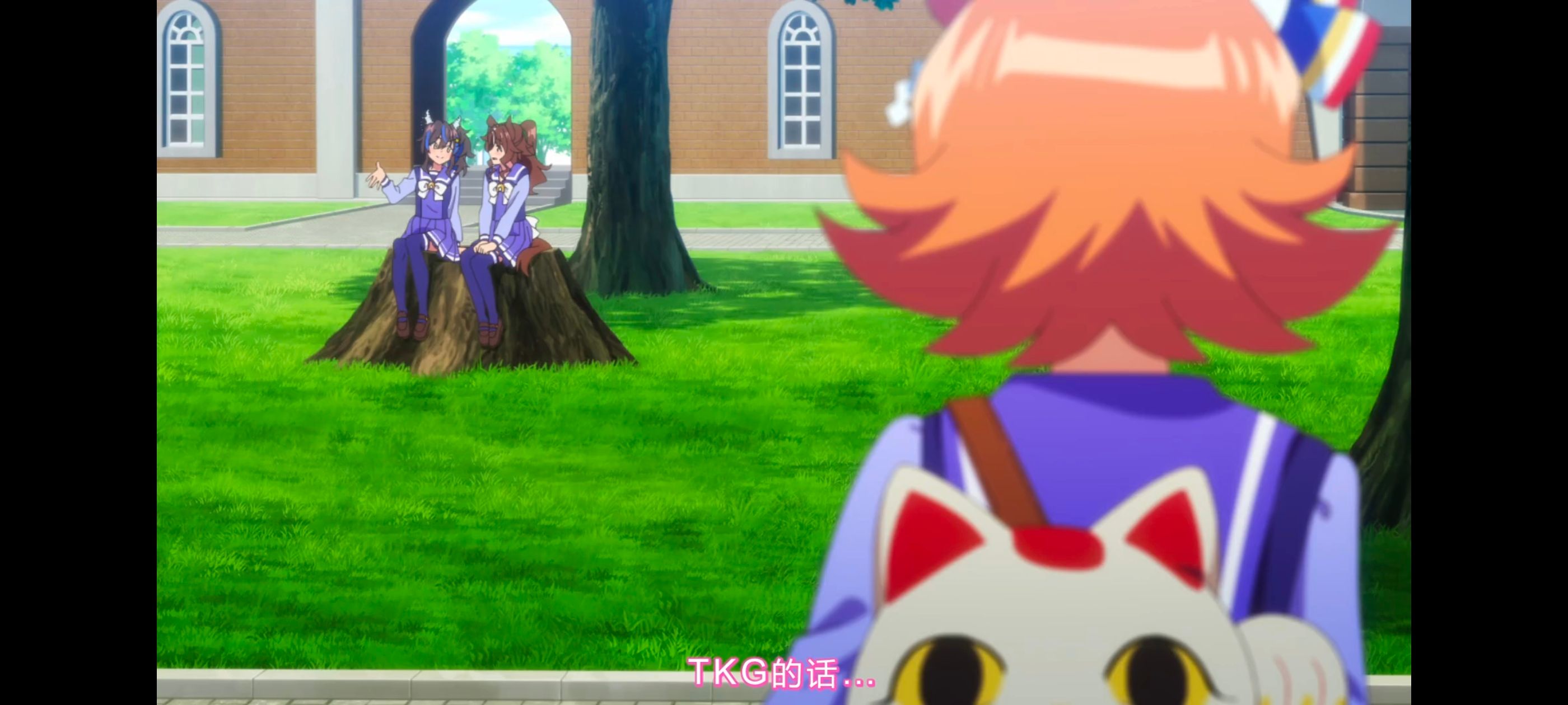 赛马娘,赛马娘PrettyDreby,赛马娘第二季,动画,动漫,番剧,ACG