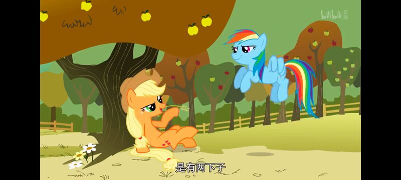 小马宝莉,小马宝莉友谊魔法,彩虹小马,我的小马驹,动画,动漫,番剧,ACG
