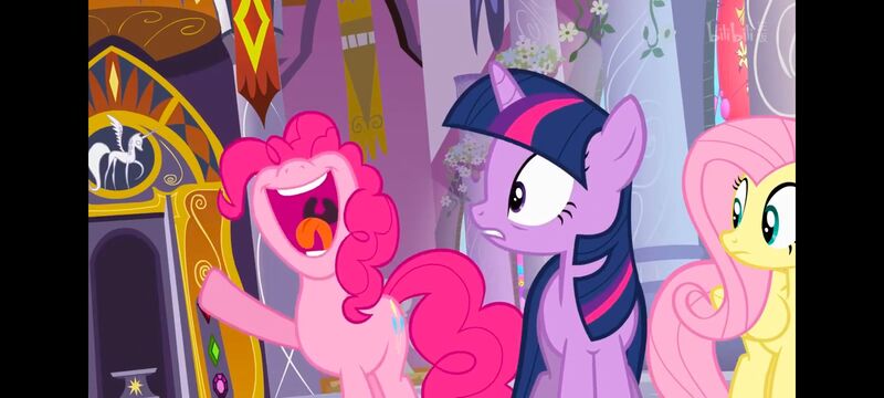 小马宝莉,小马宝莉友谊魔法,彩虹小马,我的小马驹,动画,动漫,番剧,ACG