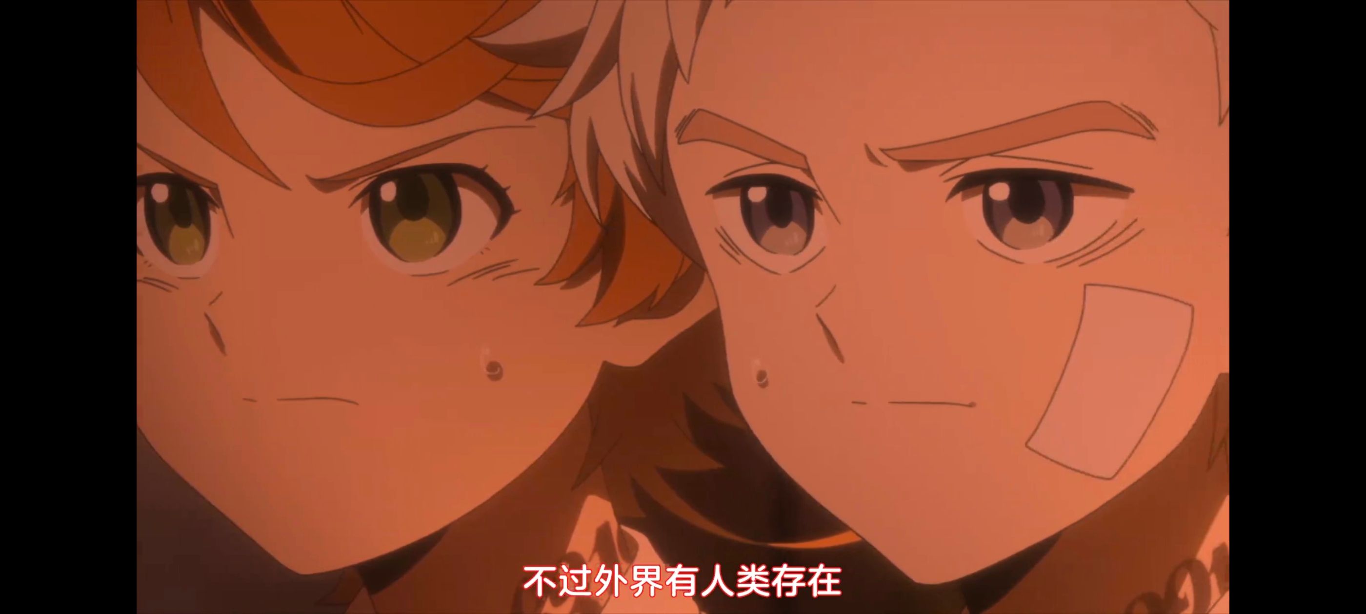 约定的梦幻岛,动画,动漫,番剧,二次元,ACG