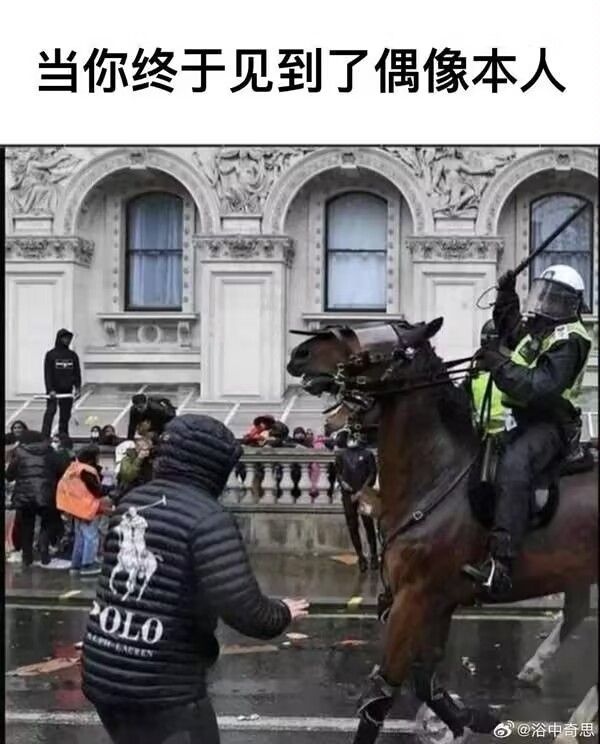 /static/f24224d4887b5d99e034eb609bd1417e418f5ba134e3453db8b24f2af2853902.jpg