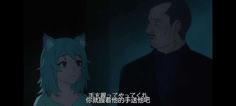 尼古喵喵,雅尼猫,动画,动漫,番剧,二次元,日漫,ACG