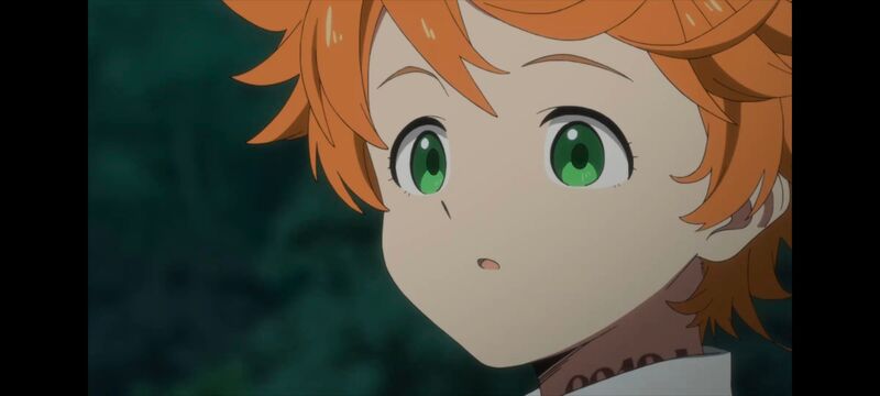 约定的梦幻岛,动画,动漫,番剧,ACG