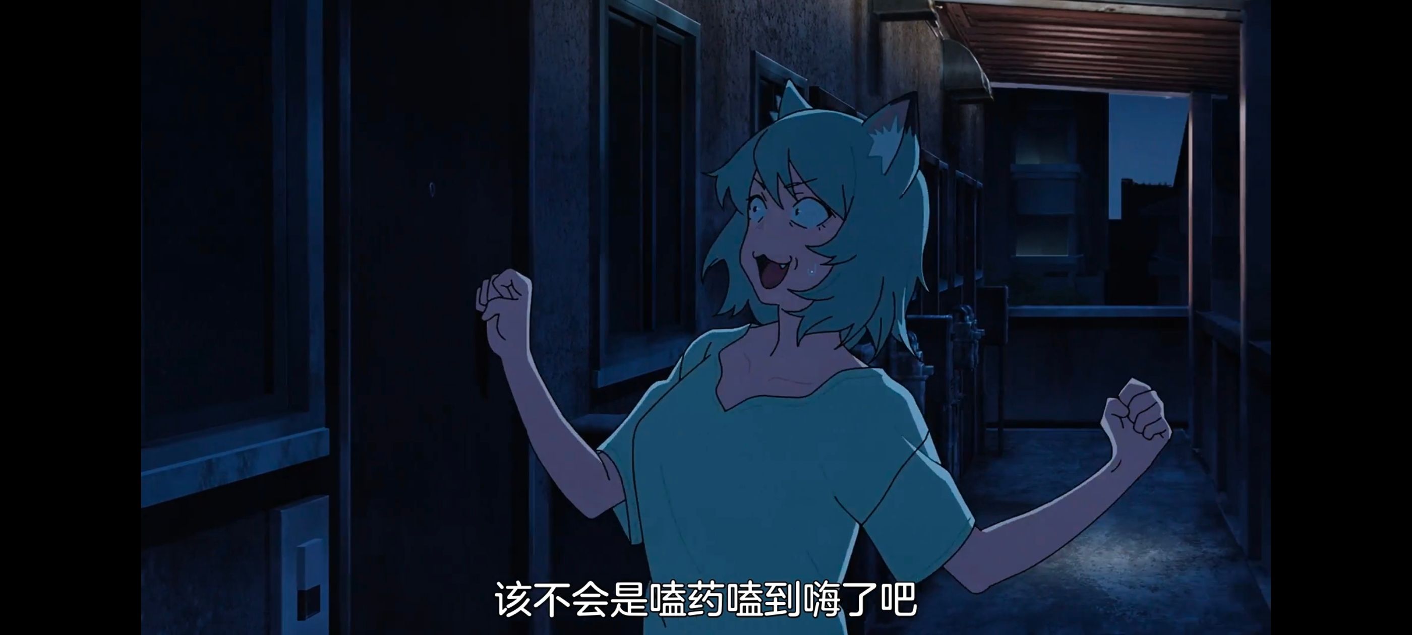 尼古喵喵,雅尼猫,动画,动漫,番剧,二次元,日漫,ACG