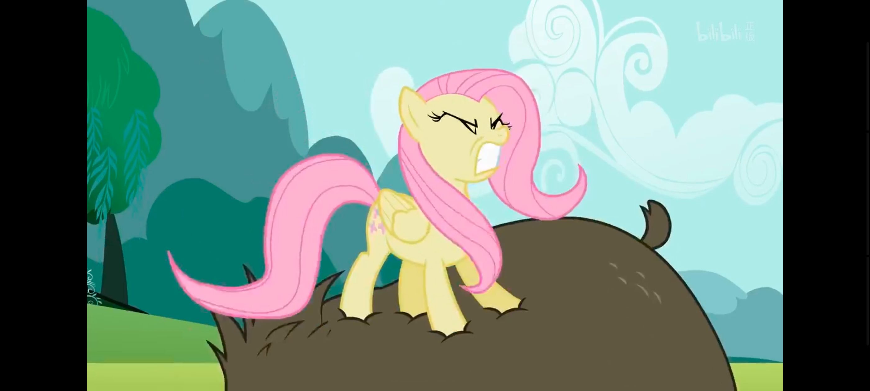 小马宝莉,小马宝莉友谊魔法,彩虹小马,我的小马驹,动画,动漫,番剧,ACG