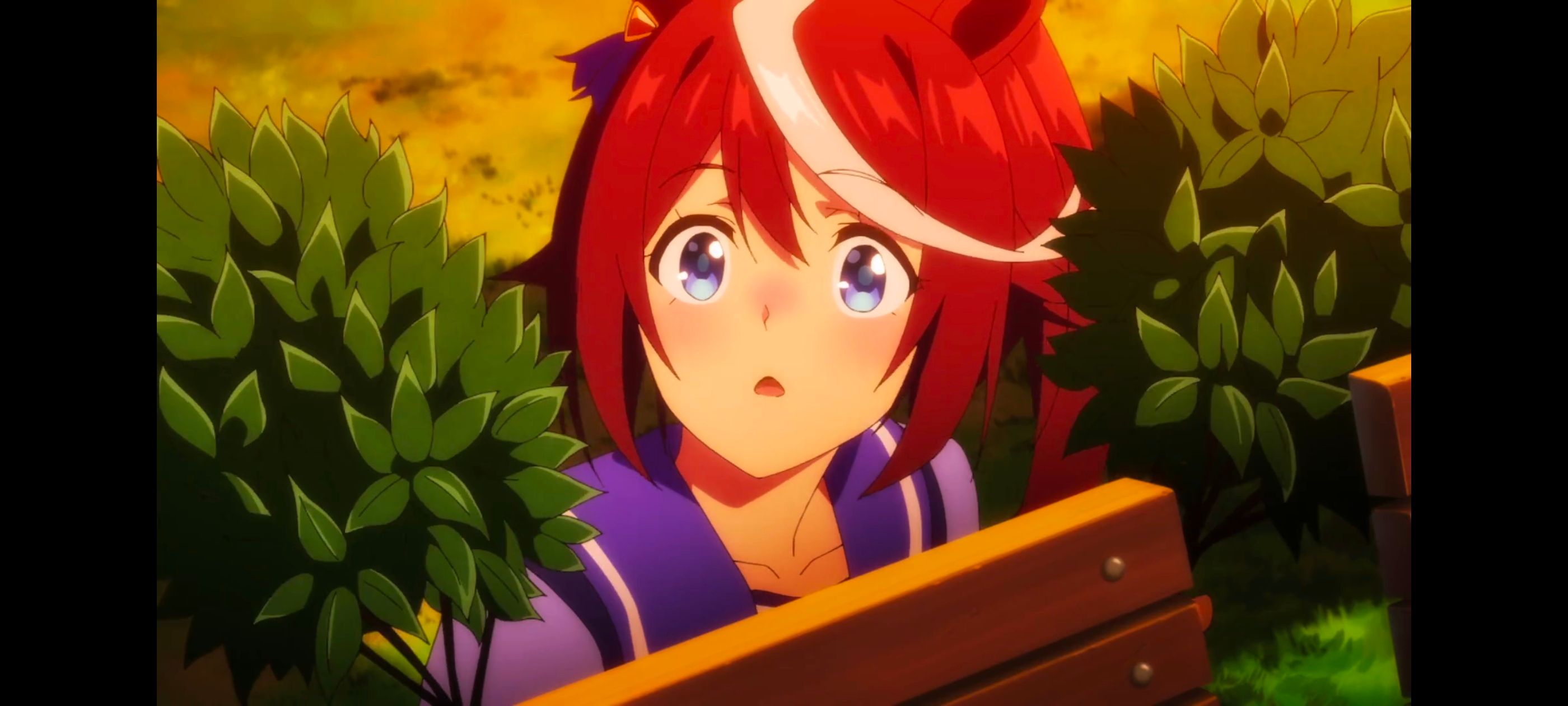 赛马娘,赛马娘PrettyDreby,动画,动漫,AMV,MAD,二次元,ACG