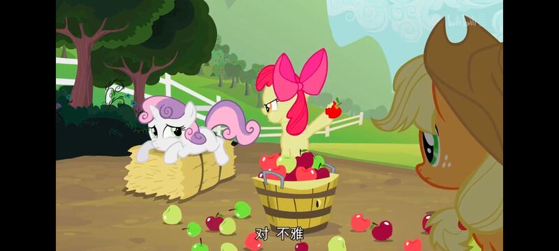 小马宝莉,小马宝莉友谊魔法,彩虹小马,我的小马驹,动画,动漫,番剧,ACG