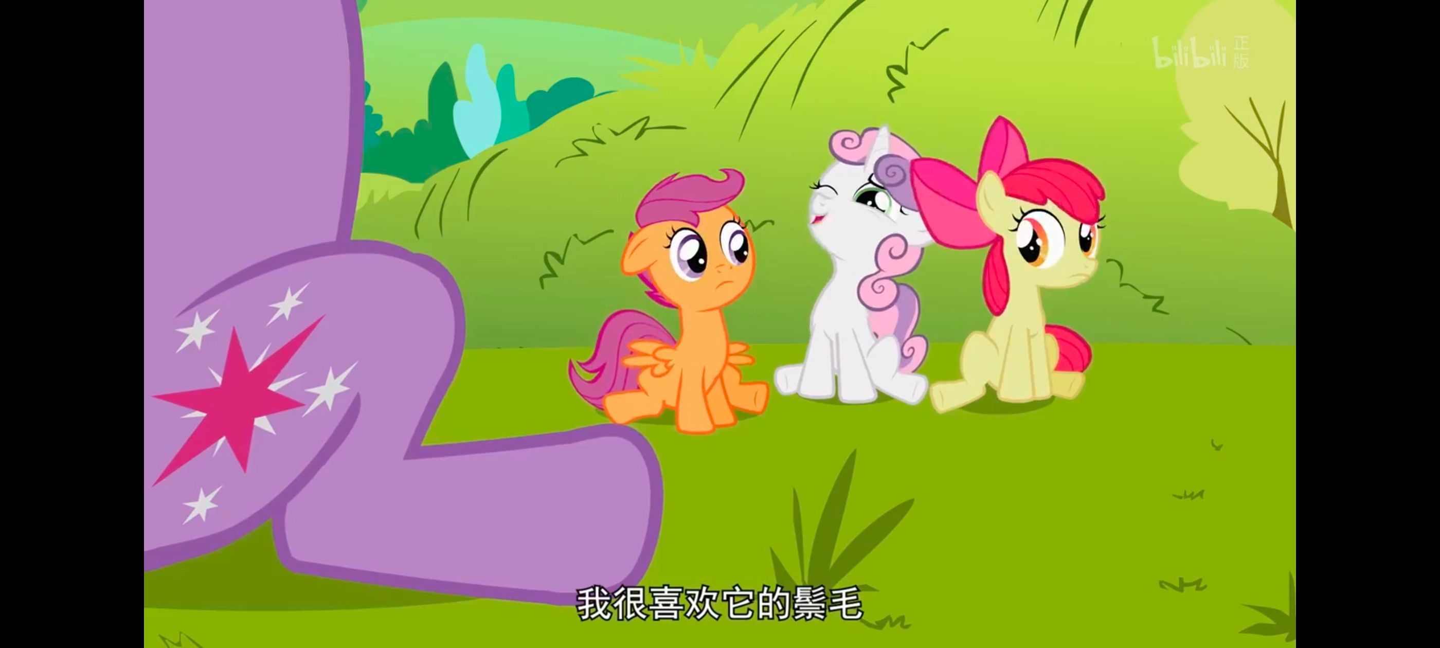 小马宝莉,小马宝莉友谊魔法,彩虹小马,我的小马驹,动画,动漫,番剧,ACG
