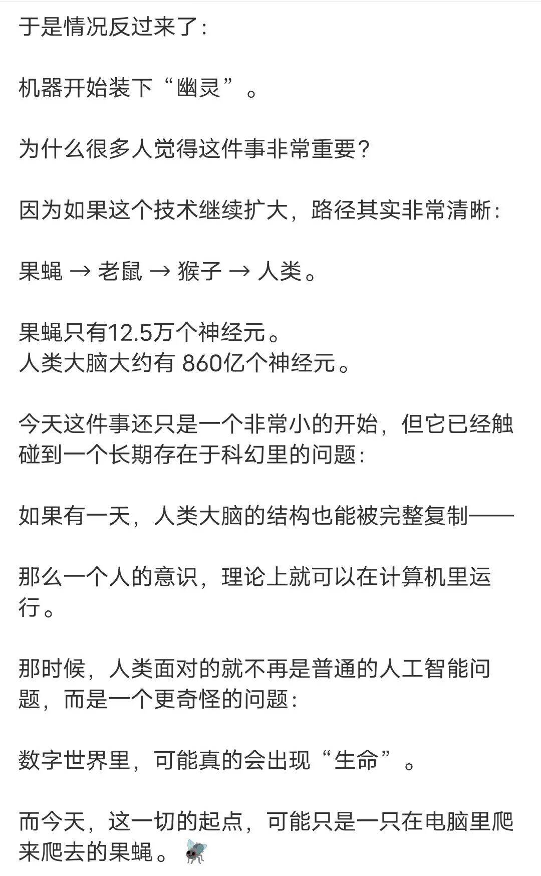 果蝇,电脑,科幻,科技