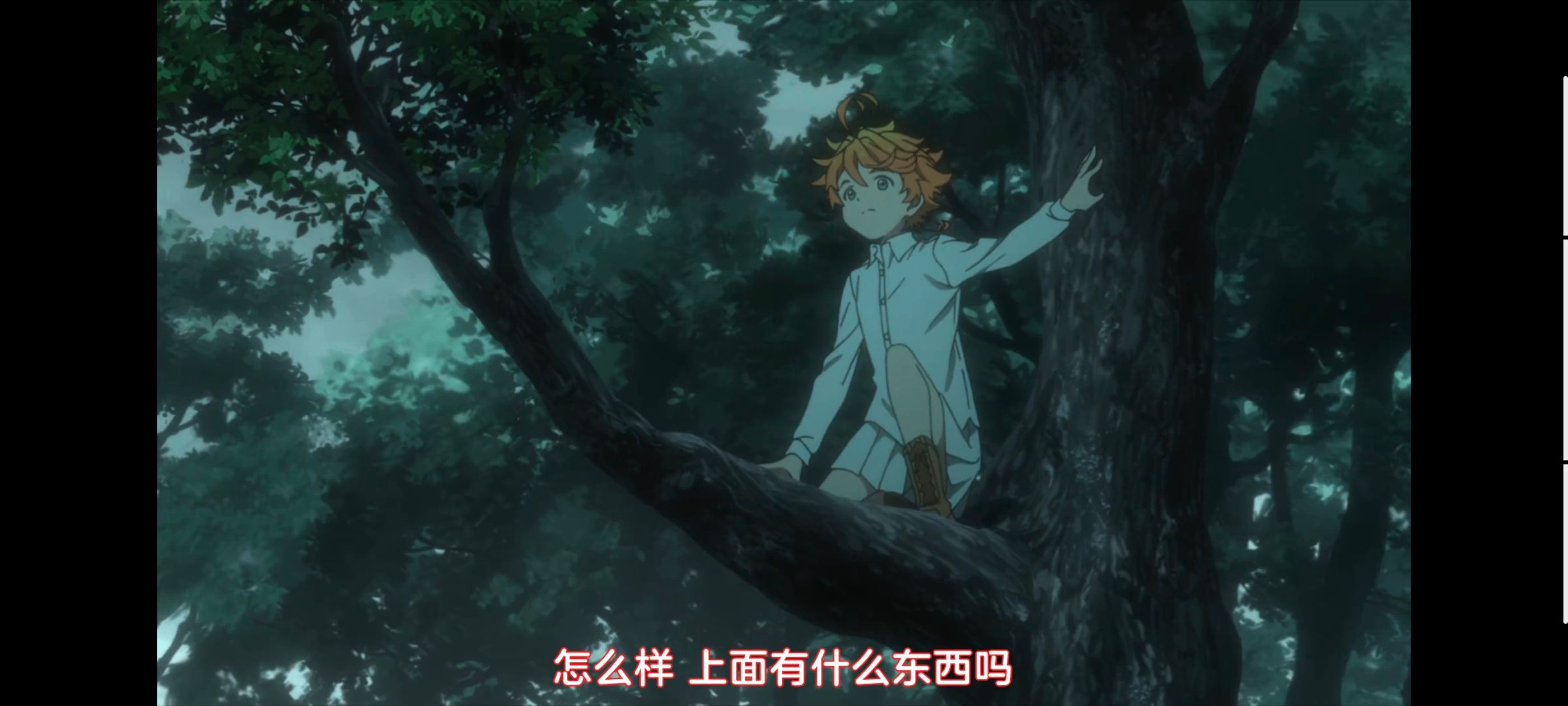 约定的梦幻岛,动画,动漫,番剧,ACG