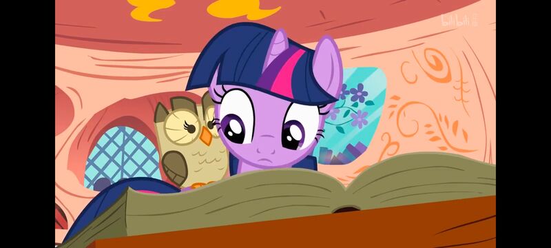 小马宝莉,彩虹小马,我的小马驹,动画,动漫,番剧,ACG,小马宝莉友谊魔法