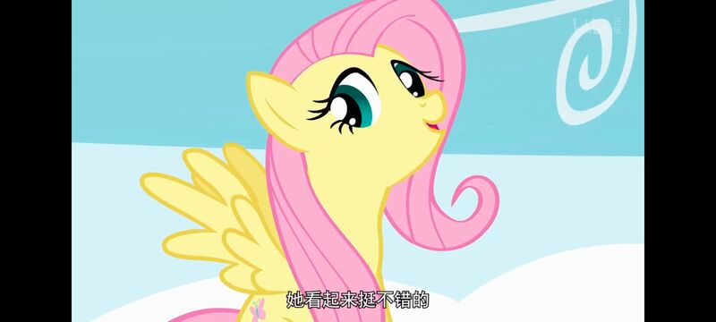 小马宝莉,小马宝莉友谊魔法,彩虹小马,我的小马驹,动画,动漫,番剧,ACG