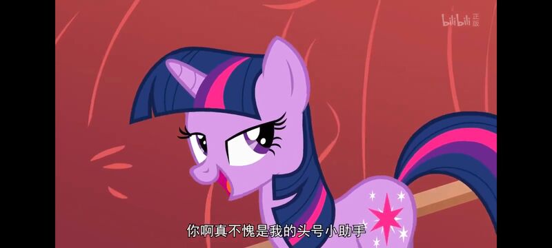 小马宝莉,彩虹小马,我的小马驹,动画,动漫,番剧,ACG,小马宝莉友谊魔法