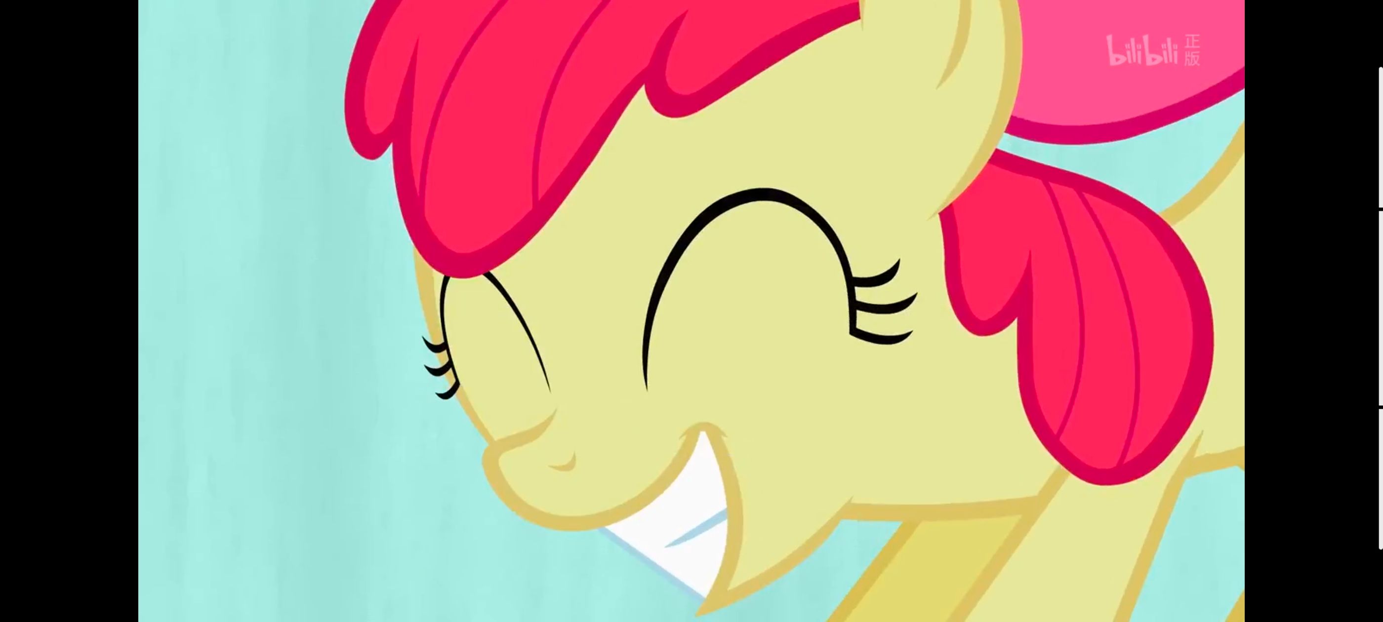 小马宝莉,彩虹小马,我的小马驹,动漫,动画,番剧,ACG