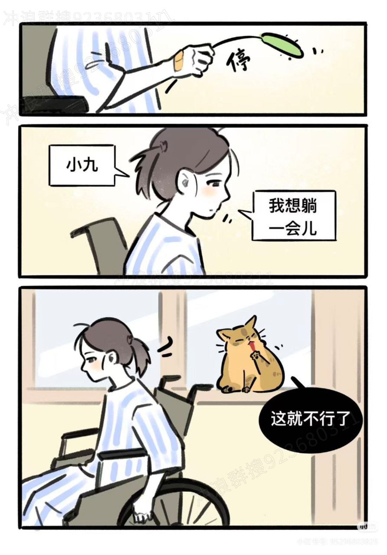 猫,故事
