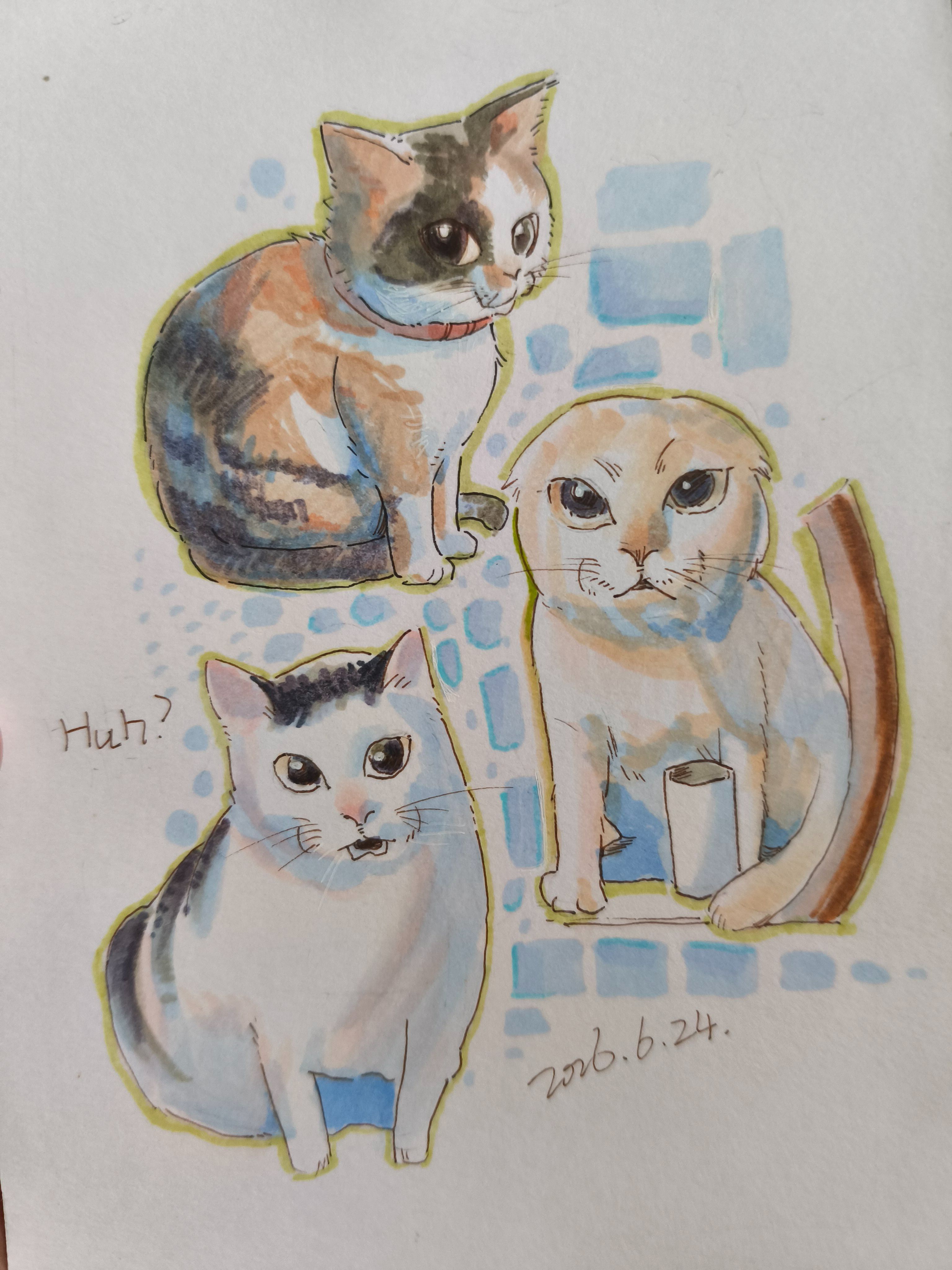 绘画创作,画画,耄耋,小猫,huh猫,绘画