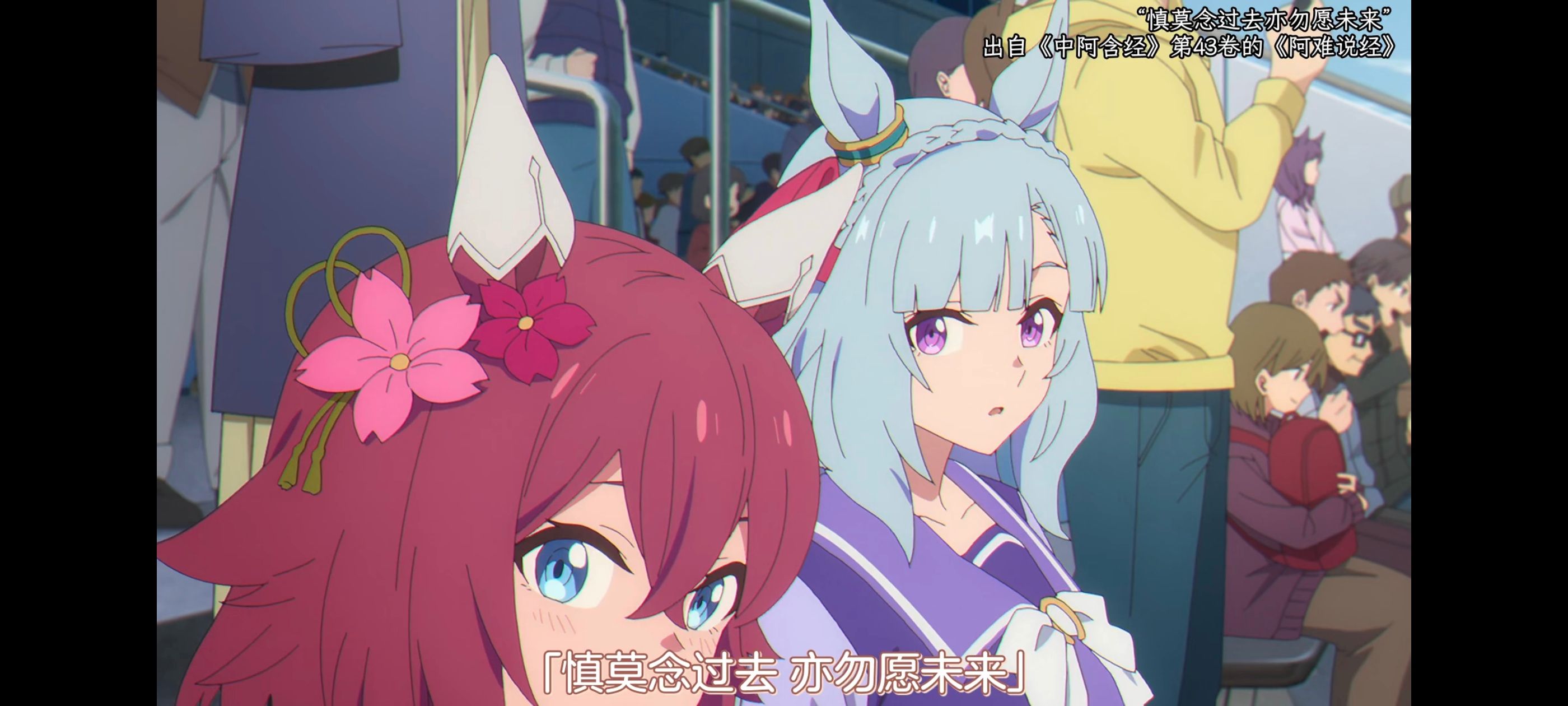 赛马娘,赛马娘PrettyDreby,赛马娘芦毛灰姑娘,芦毛灰姑娘,动画,动漫,番剧,ACG