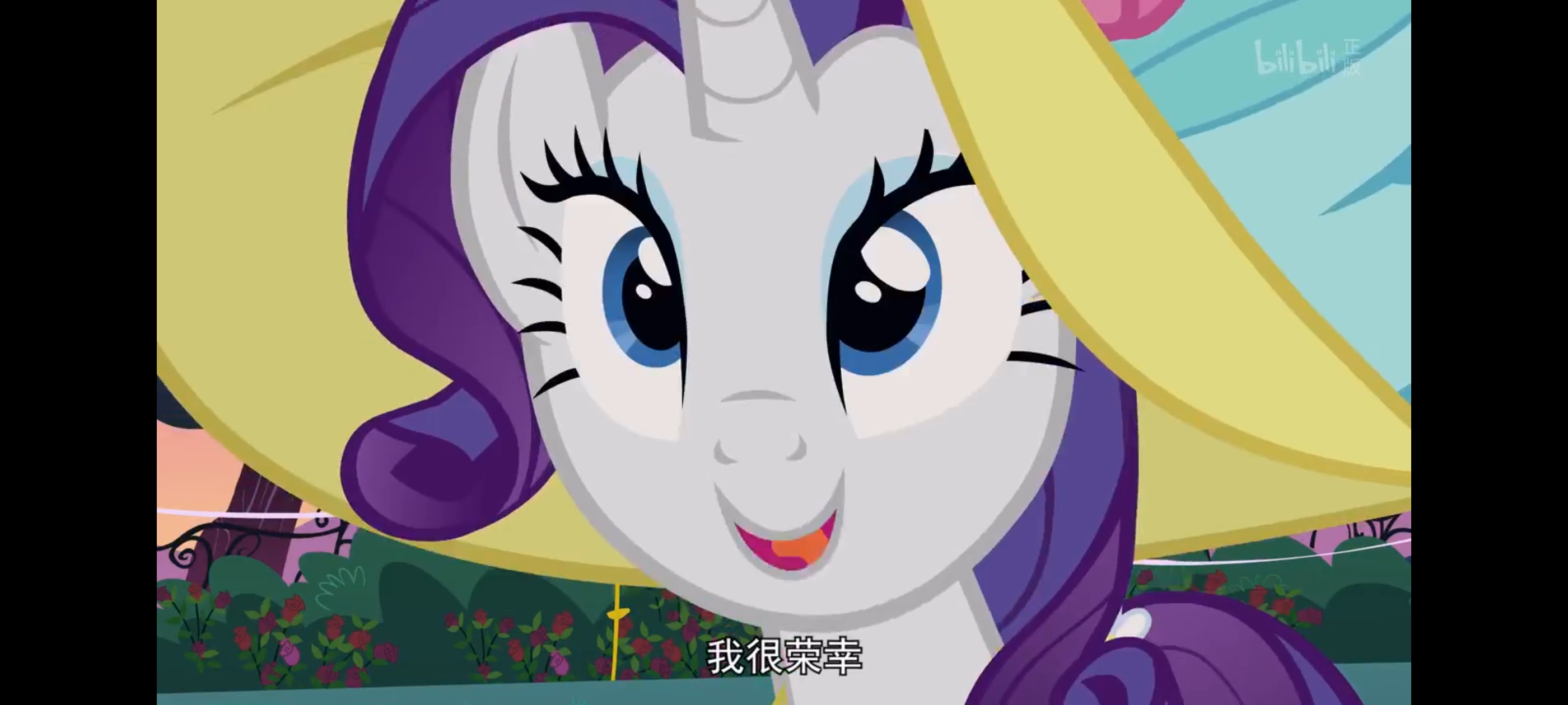 小马宝莉,彩虹小马,我的小马驹,动画,动漫,番剧,ACG