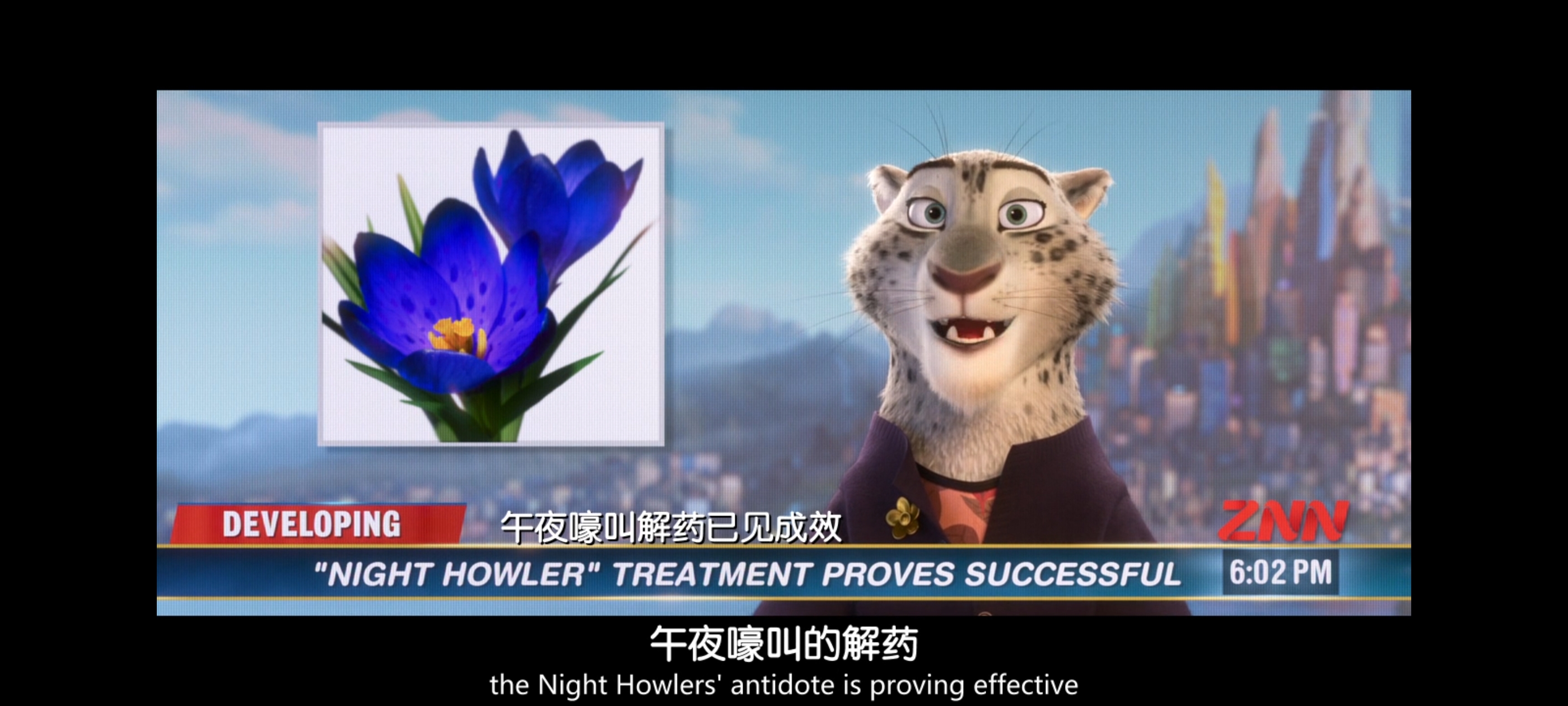 疯狂动物城,动画电影,动漫,动画,电影,二次元,ACG