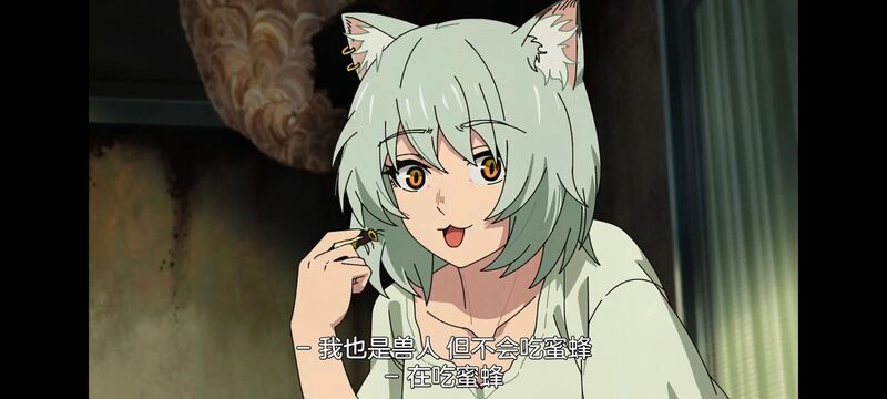 尼古喵喵,雅尼猫,动画,动漫,番剧,二次元,日漫,ACG