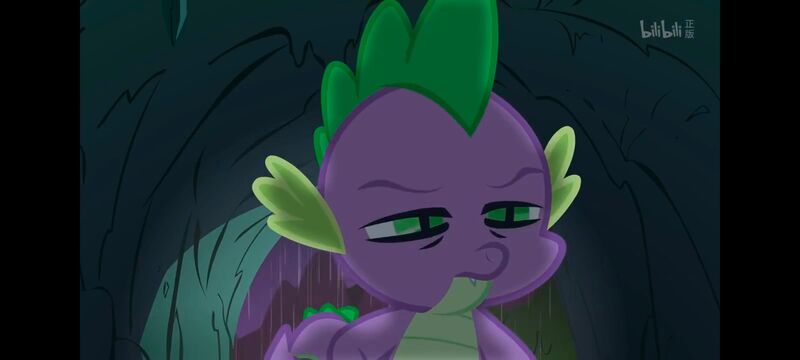 小马宝莉,彩虹小马,我的小马驹,动画,动漫,番剧,ACG,小马宝莉友谊魔法