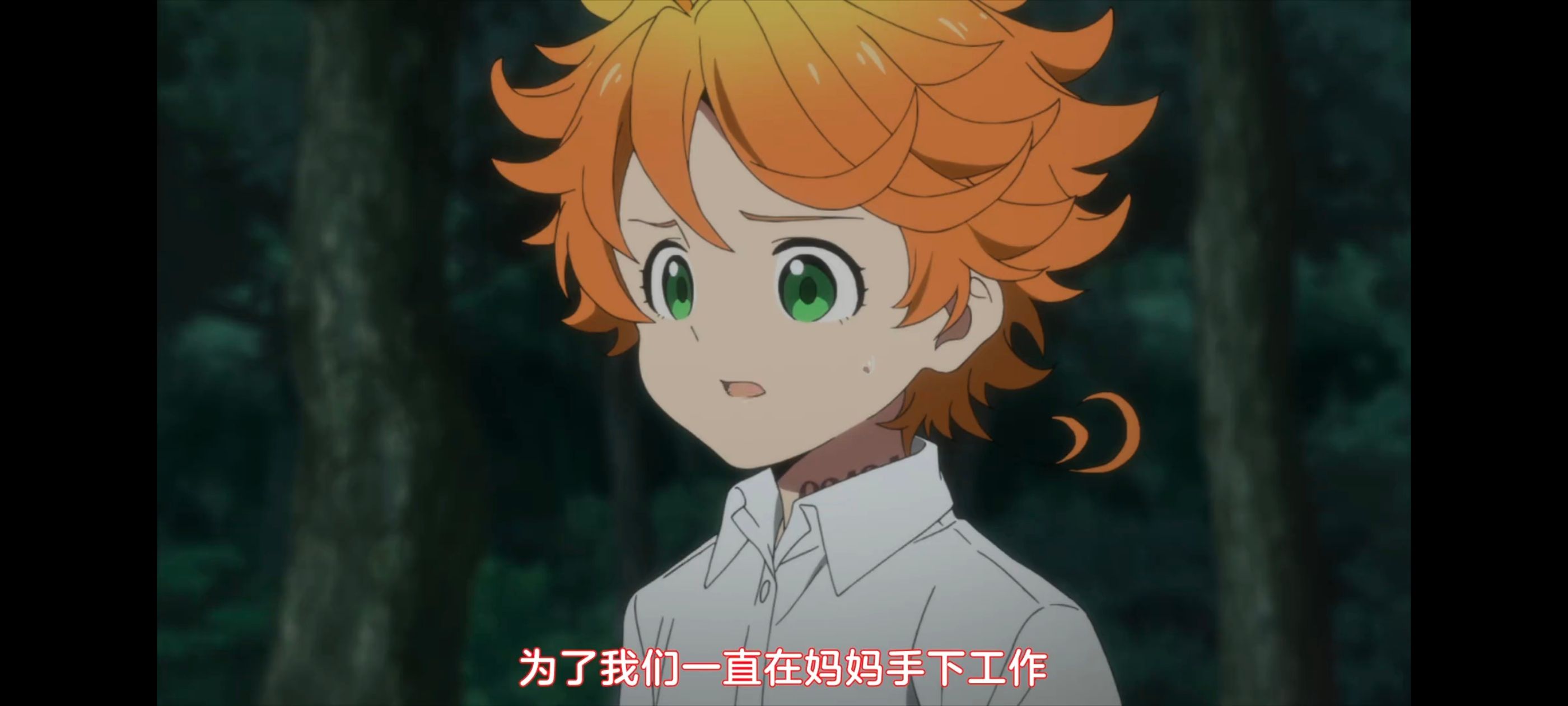 约定的梦幻岛,动画,动漫,番剧,ACG