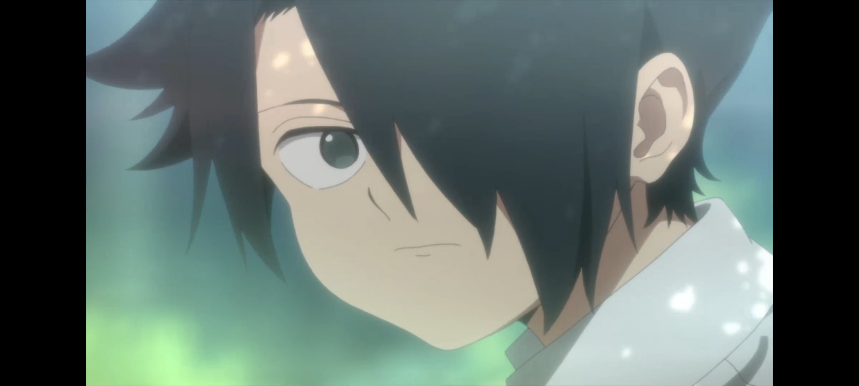 约定的梦幻岛,动画,动漫,番剧,二次元,ACG