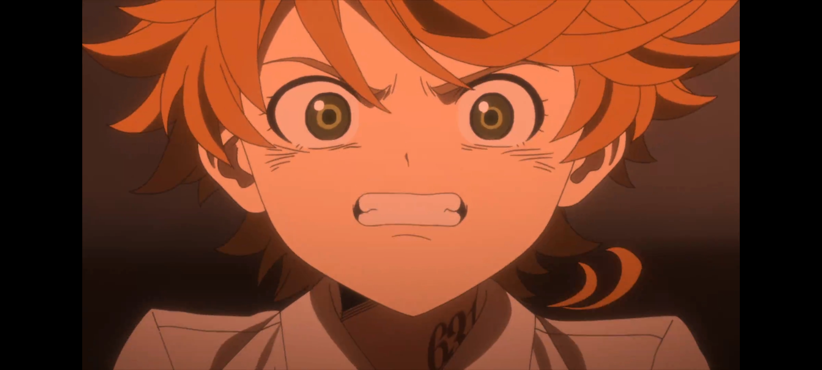 约定的梦幻岛,动画,动漫,番剧,二次元,ACG