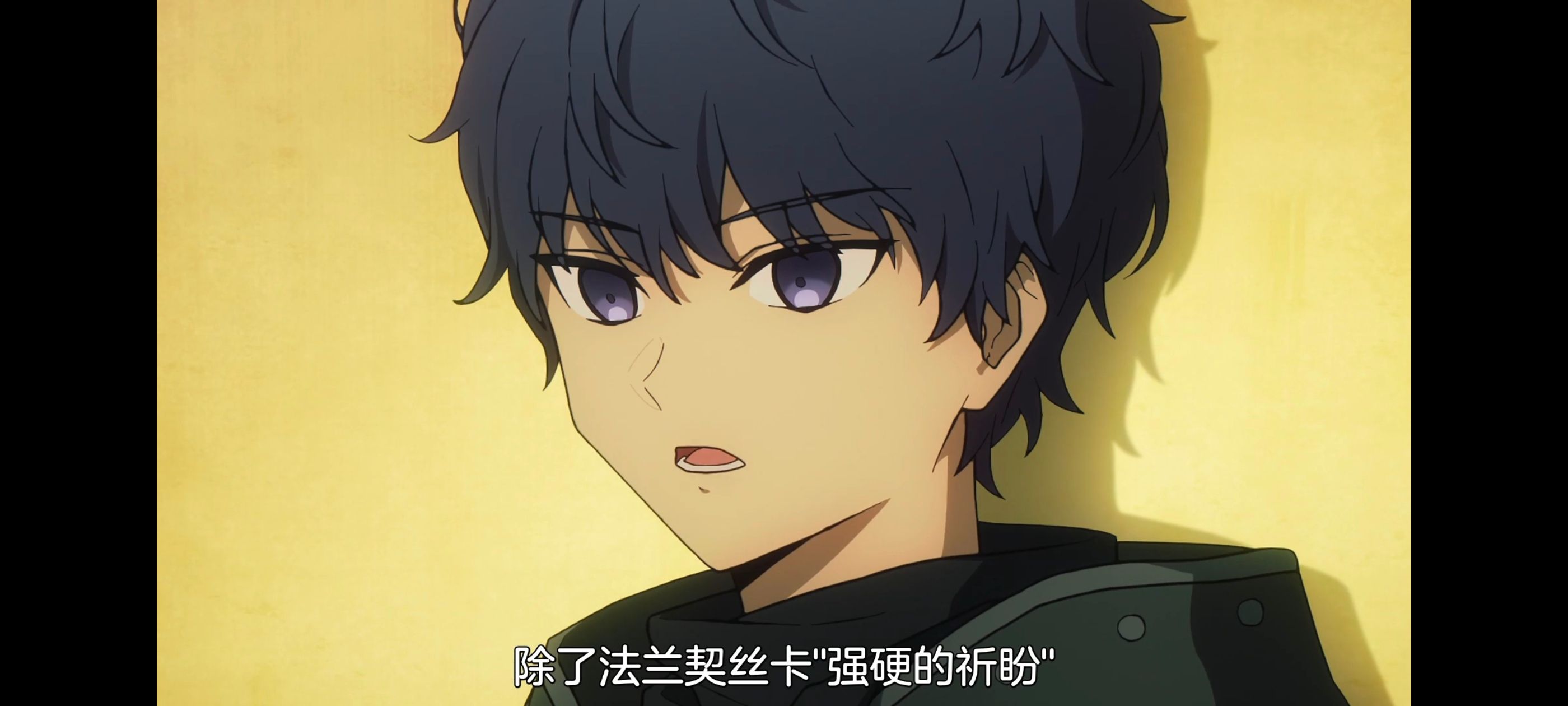 命运奇异赝品,FatestrangeFake,FATE,动画,动漫,番剧,二次元,ACG