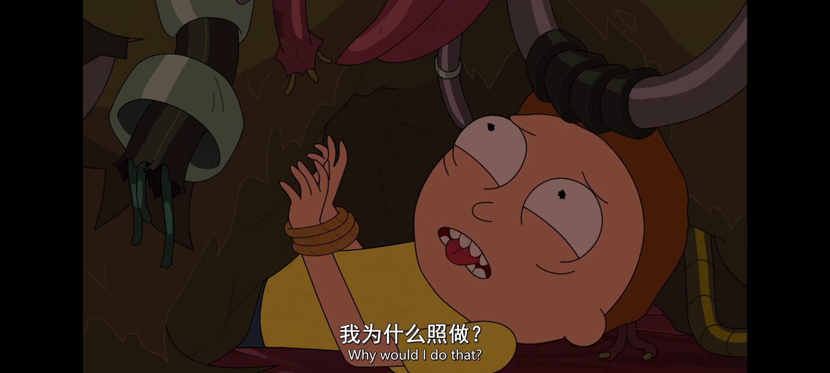 /static/f56bd417a3a30cd62871a56bc77c32966af4c0f2abd881ed74e08ba835a1d310.jpg
