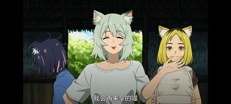 尼古喵喵,雅尼猫,动画,动漫,番剧,日漫,二次元,ACG