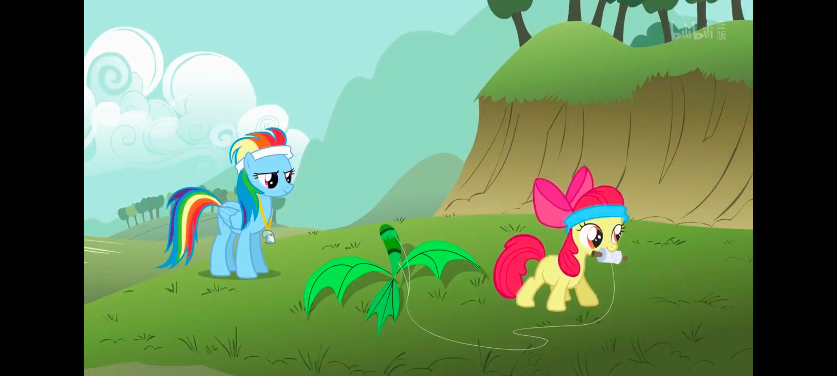 小马宝莉,小马宝莉友谊魔法,彩虹小马,我的小马驹,动画,动漫,番剧,ACG