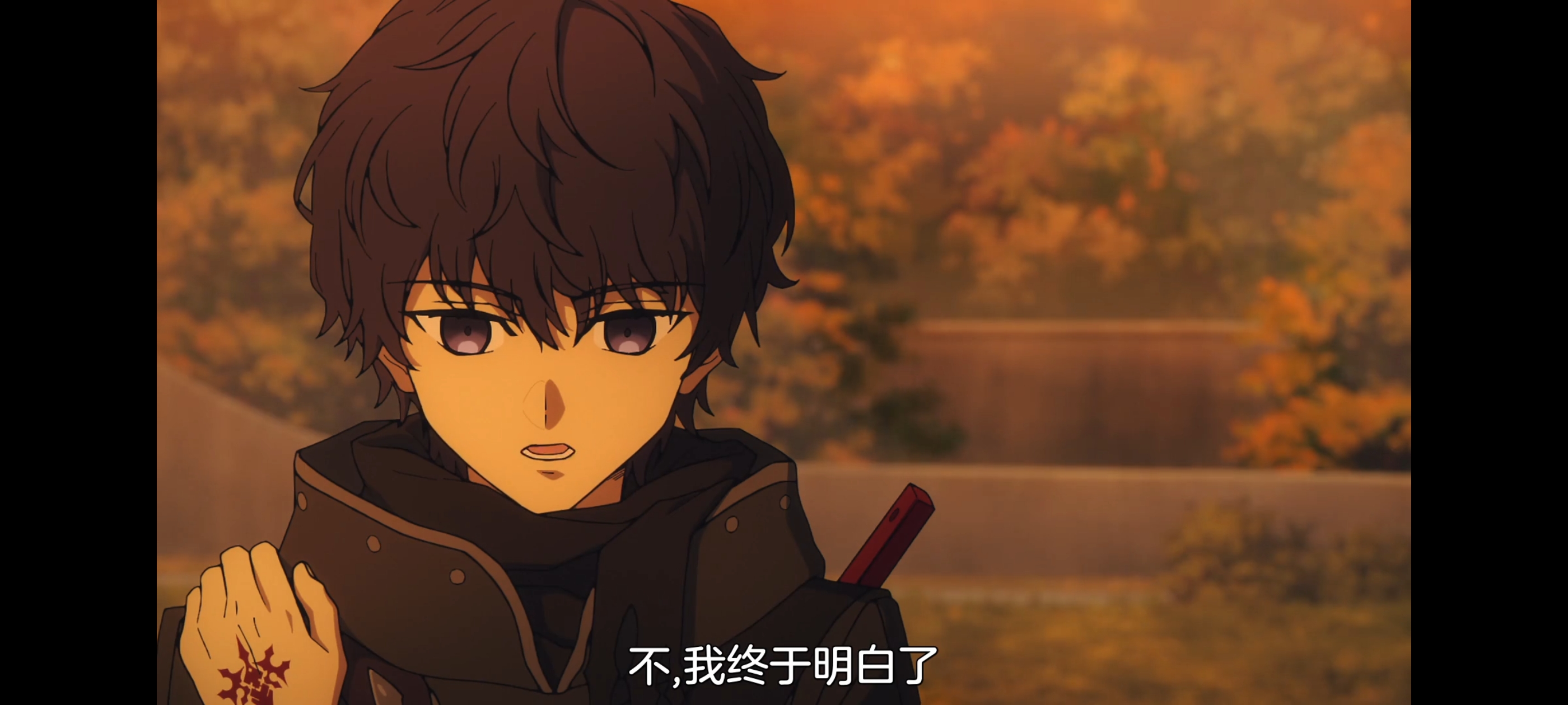 FATE,命运奇异赝品,FatestrangeFake,动画,动漫,番剧,二次元,ACG