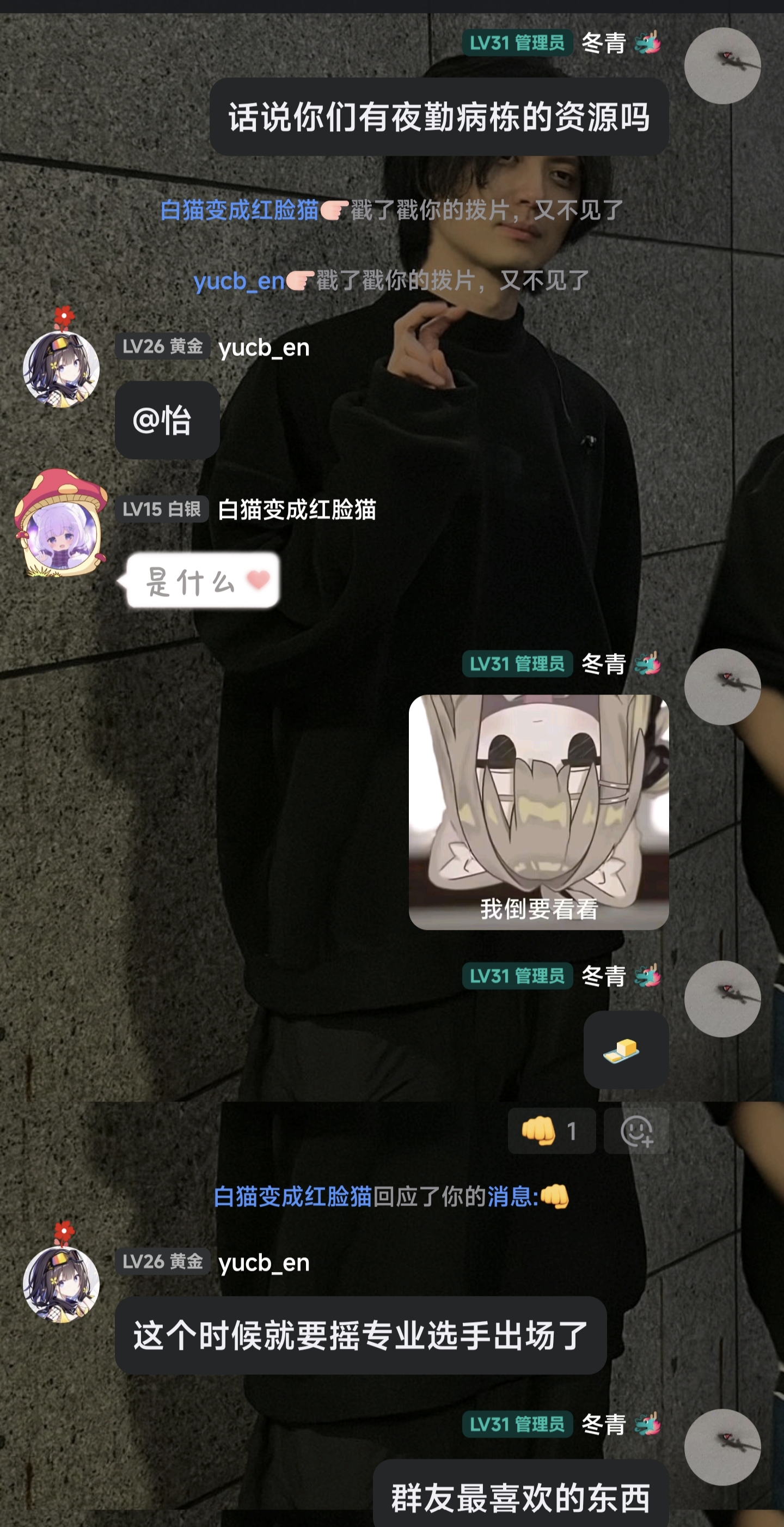 黄油,音乐,信任