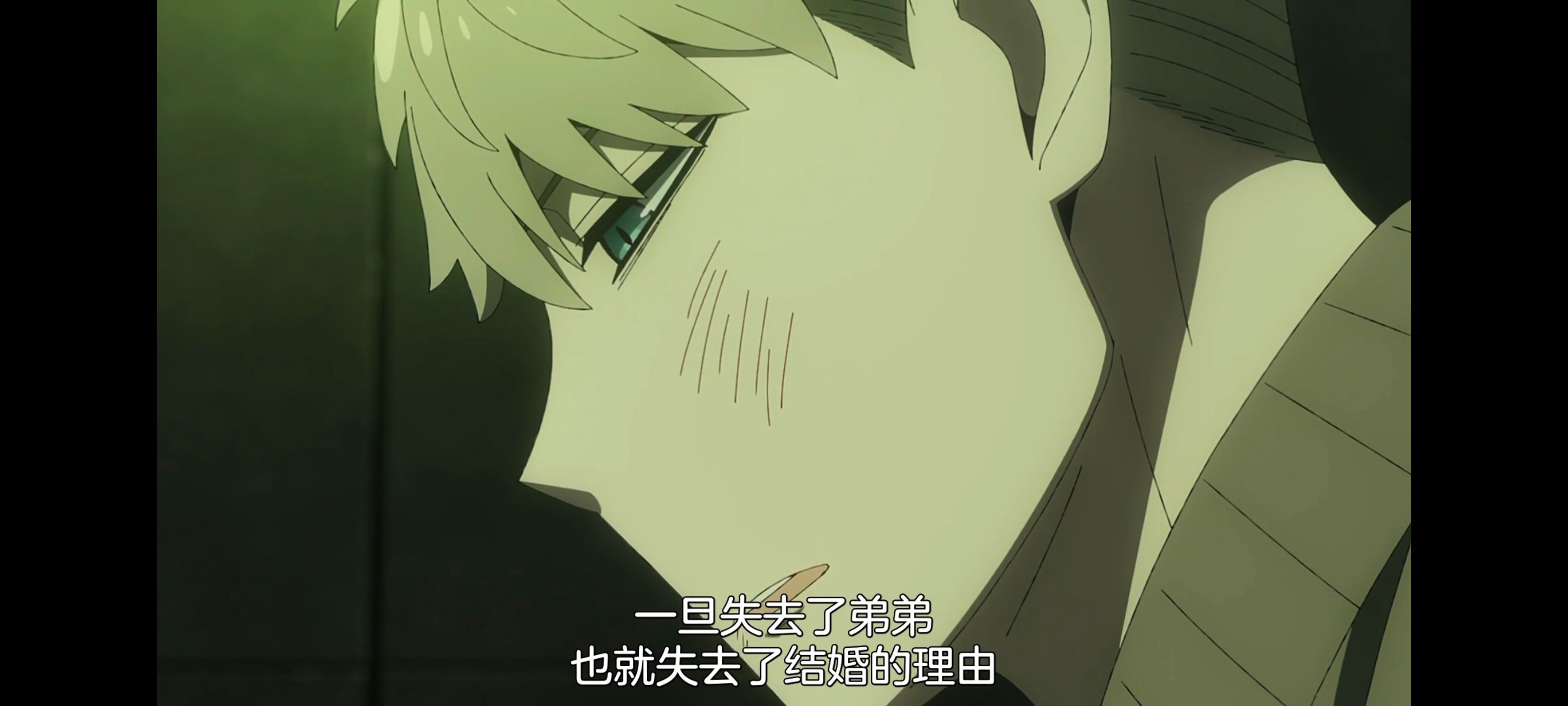 间谍过家家,SPYFAMILY,动画,动漫,番剧,ACG