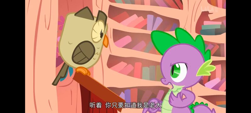 小马宝莉,彩虹小马,我的小马驹,动画,动漫,番剧,ACG,小马宝莉友谊魔法