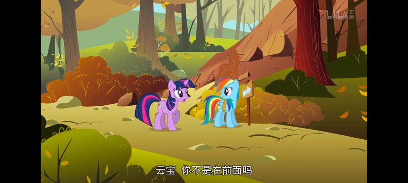 小马宝莉,小马宝莉友谊魔法,彩虹小马,我的小马驹,动画,动漫,番剧,ACG