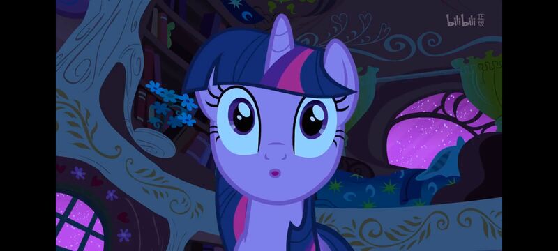 小马宝莉,彩虹小马,我的小马驹,动画,动漫,番剧,ACG,小马宝莉友谊魔法