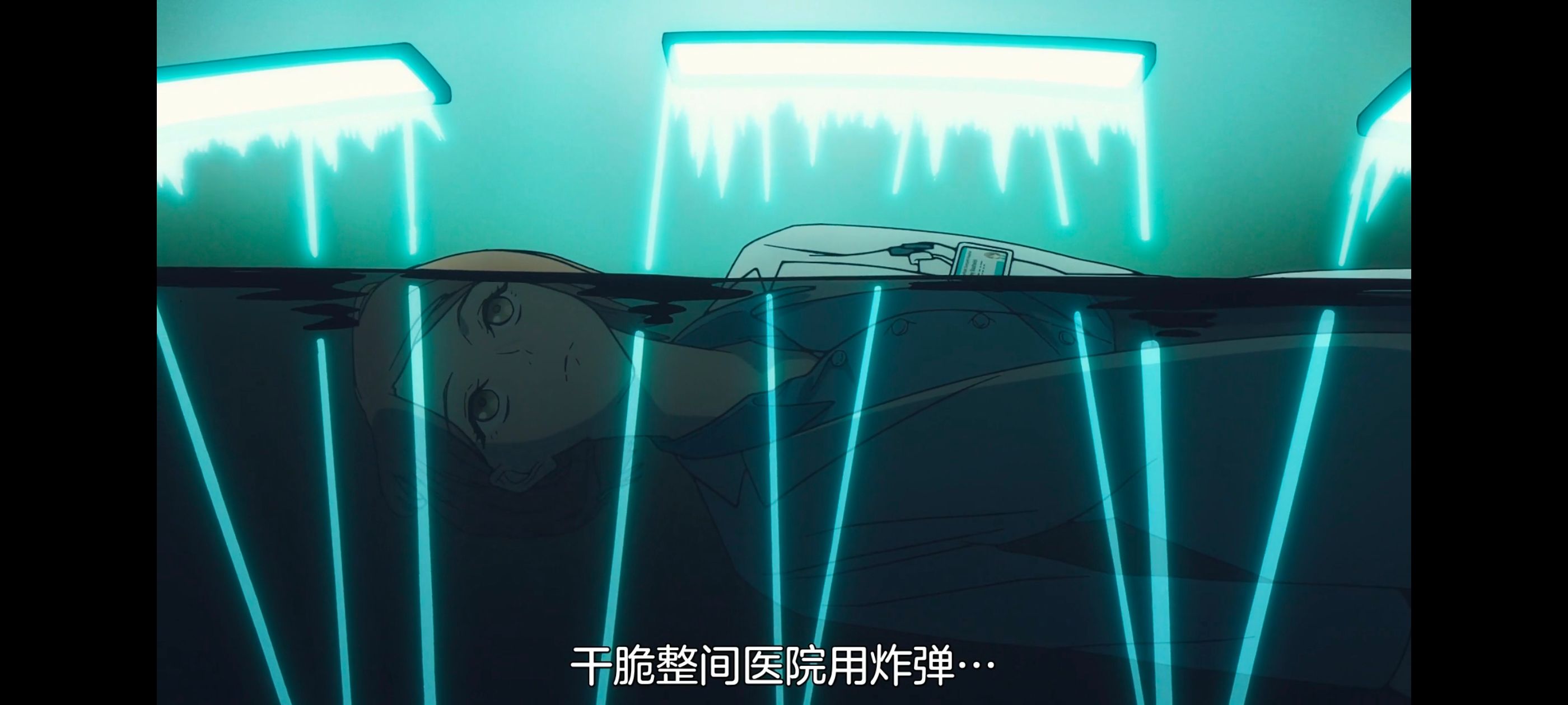 命运奇异赝品,FatestrangeFake,动画,动漫,番剧,ACG