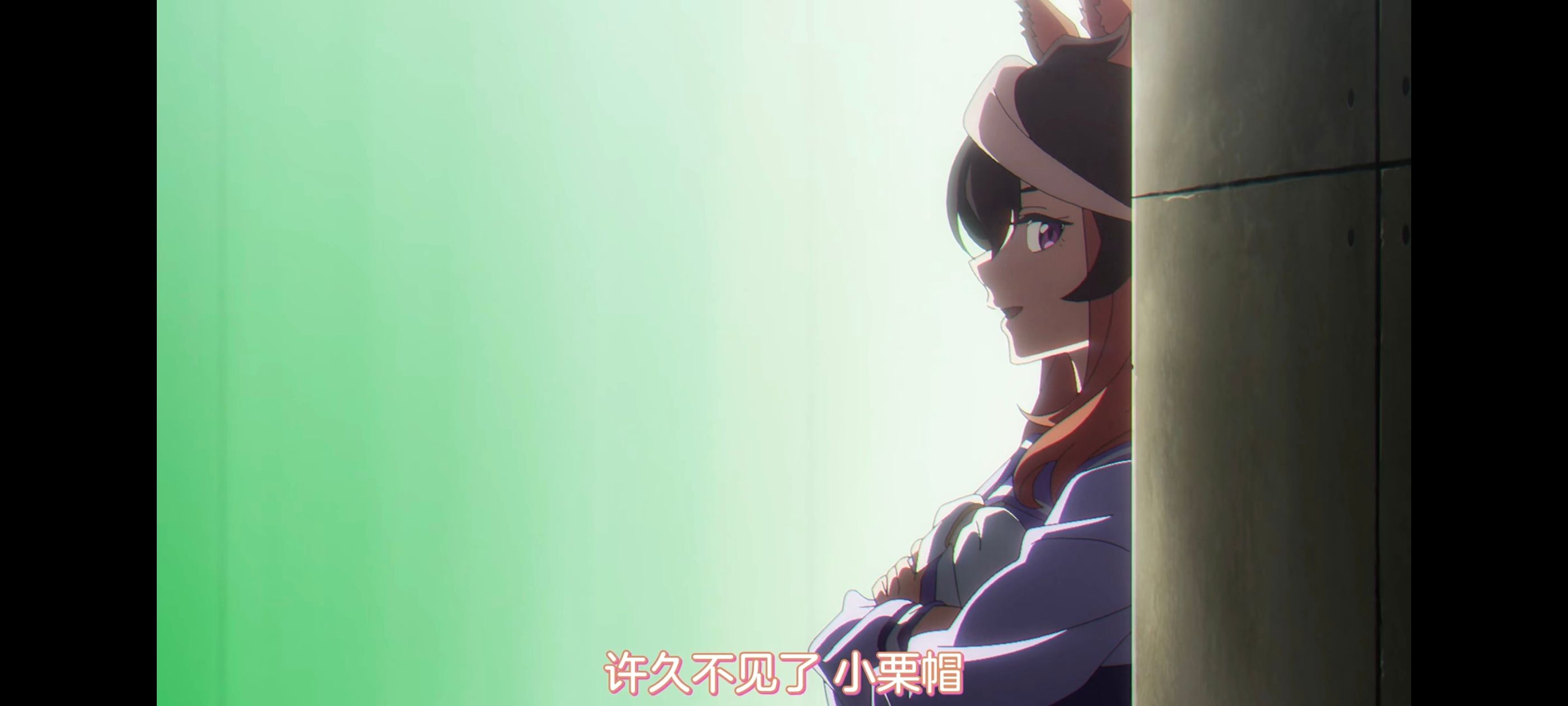 赛马娘,赛马娘PrettyDreby,赛马娘芦毛灰姑娘,芦毛灰姑娘,动画,动漫,番剧,ACG