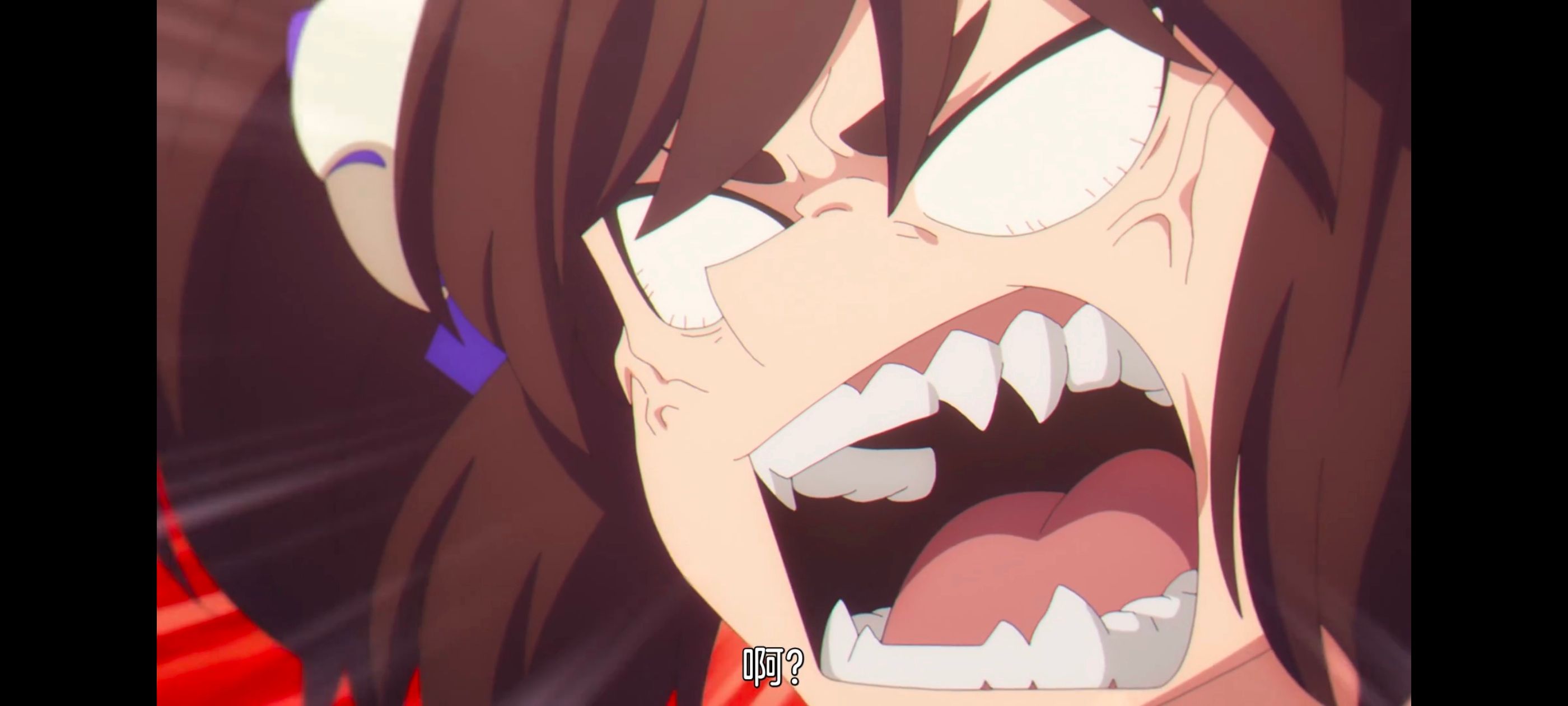 赛马娘,赛马娘PrettyDreby,芦毛灰姑娘,赛马娘芦毛灰姑娘,动画,动漫,番剧,ACG