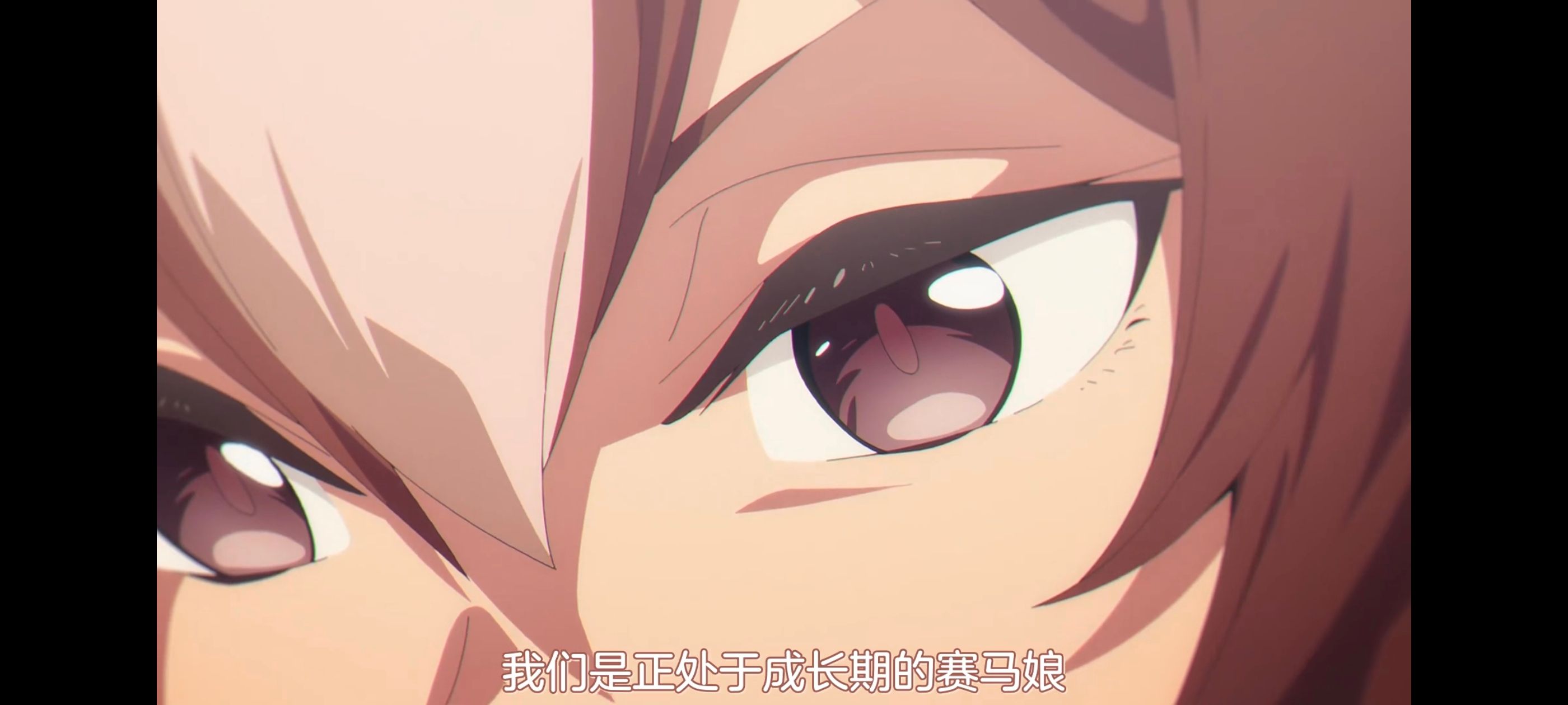 赛马娘,赛马娘PrettyDreby,赛马娘芦毛灰姑娘,芦毛灰姑娘,动画,动漫,番剧,ACG