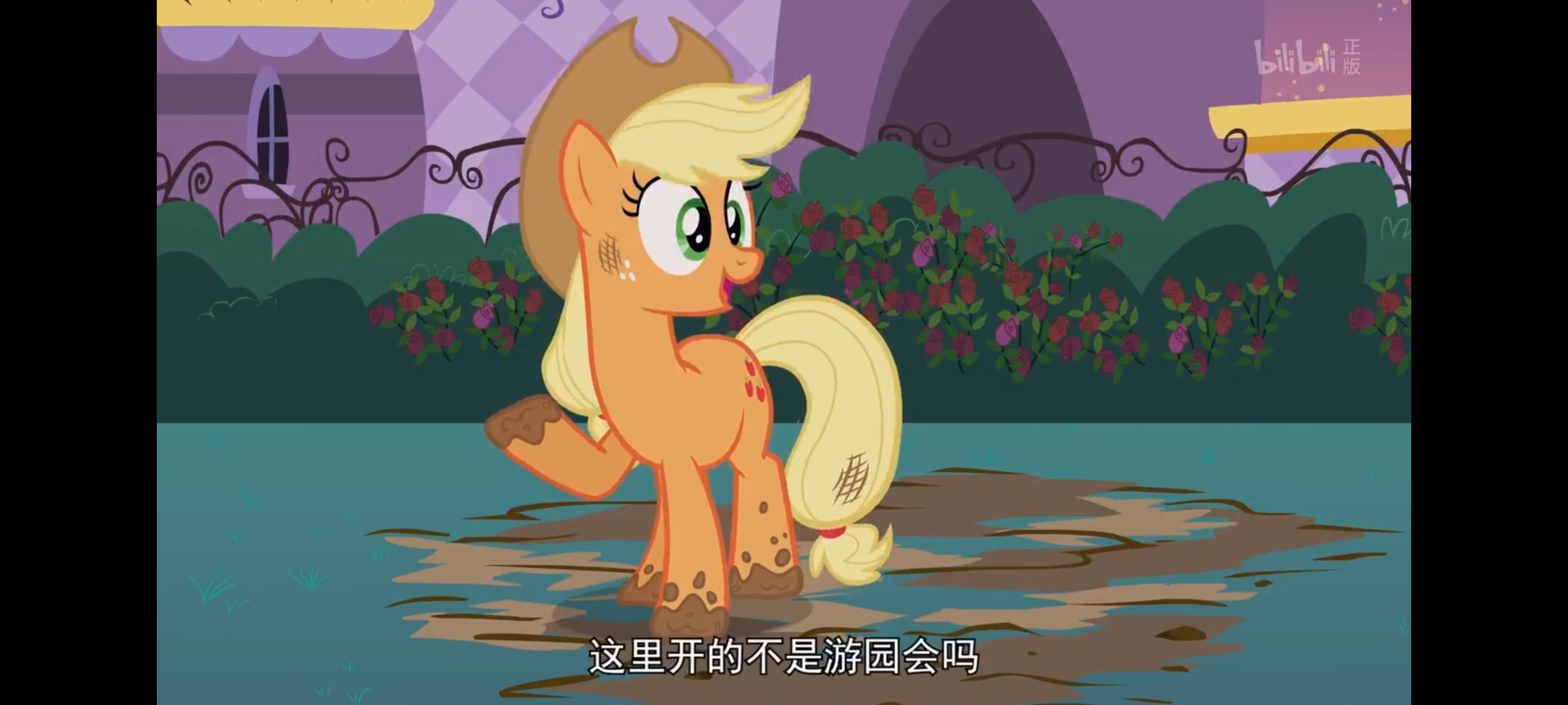 小马宝莉,彩虹小马,我的小马驹,动画,动漫,番剧,ACG