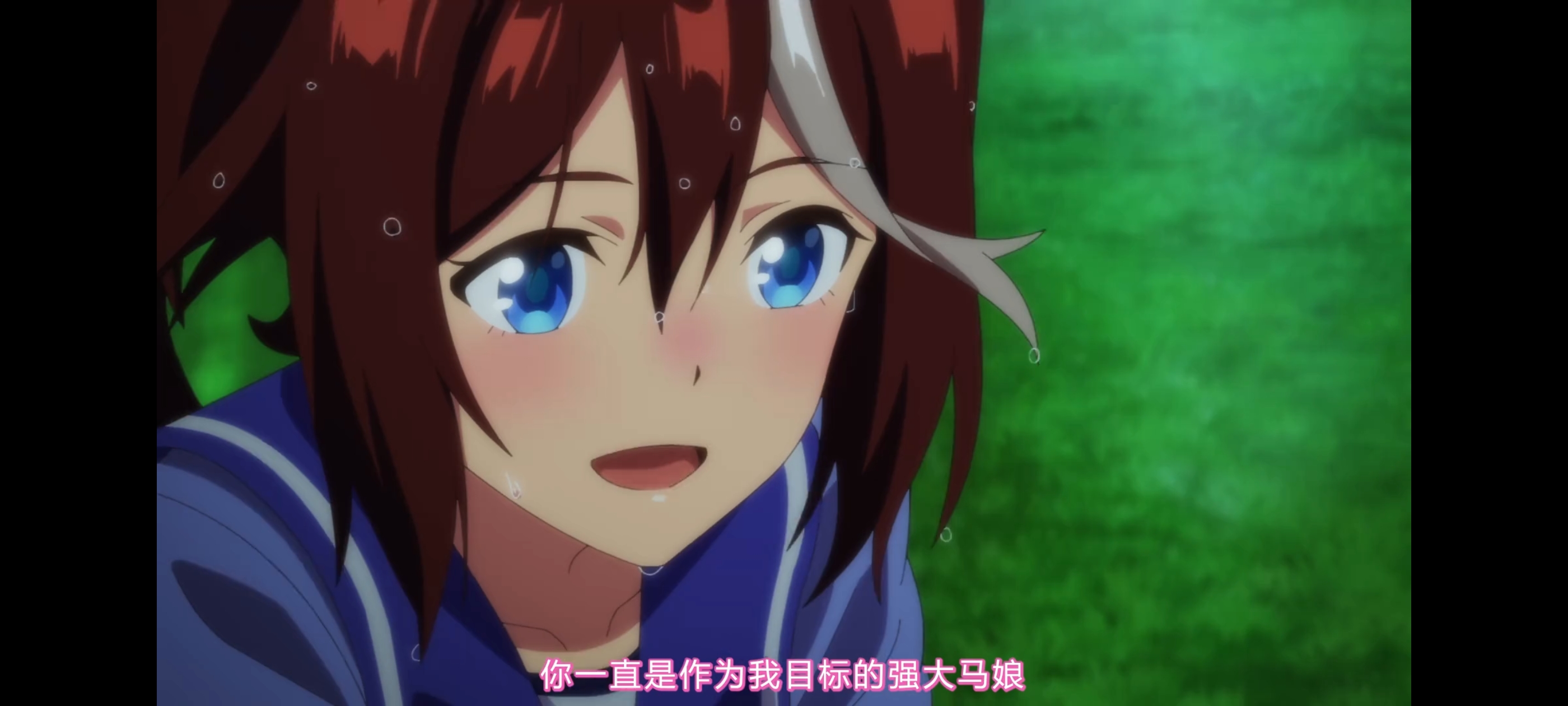 赛马娘,赛马娘第二季,赛马娘PrettyDerby,动画,动漫,番剧,二次元,ACG