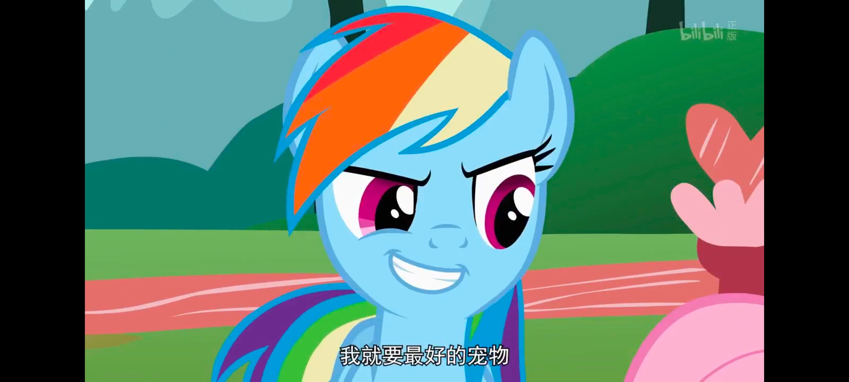 小马宝莉,彩虹小马,我的小马驹,动画,动漫,番剧,二次元,ACG