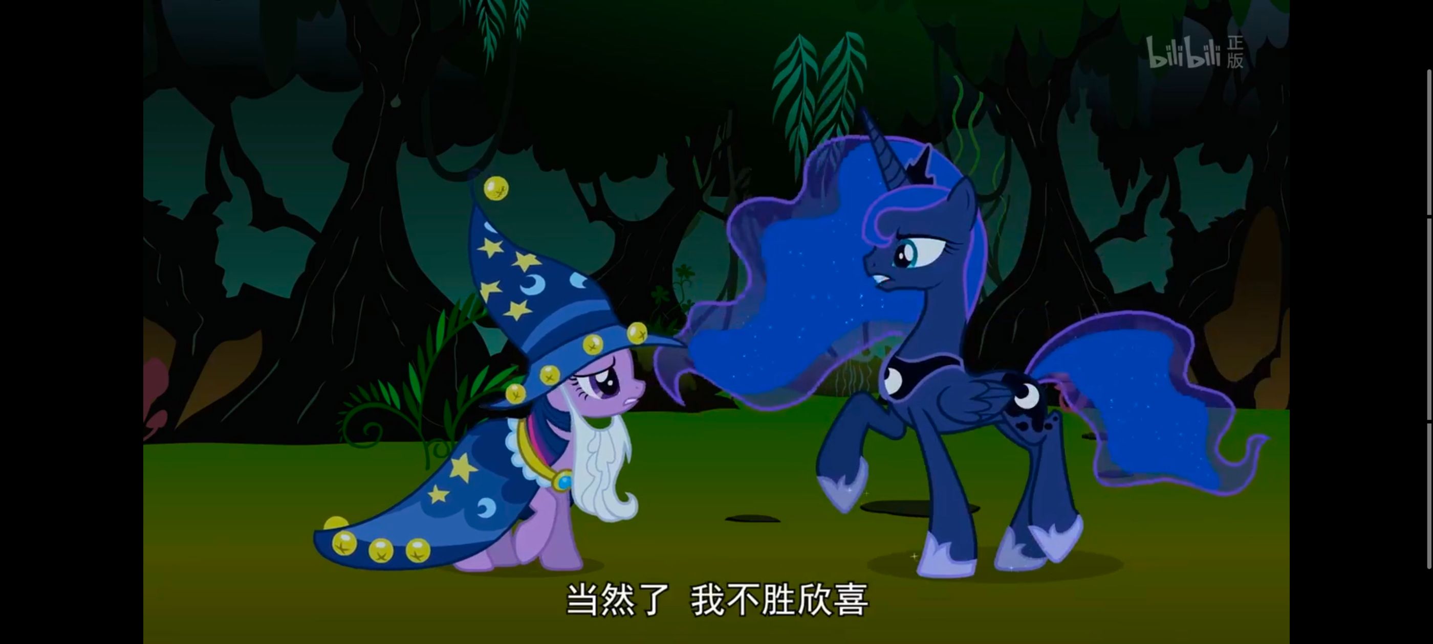 小马宝莉,小马宝莉友谊魔法,彩虹小马,我的小马驹,动漫,动画,番剧,ACG